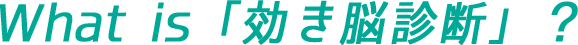 効き脳診断とは？