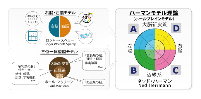 ハーマンモデル理論